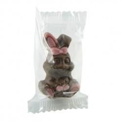 Lapins Chocolat Décorés sous FP • Lot de 10