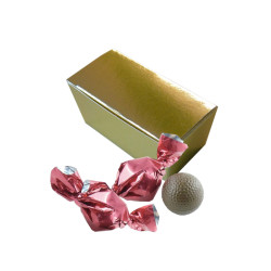 Mini Ballotin Boules Chocolat Lait Praliné