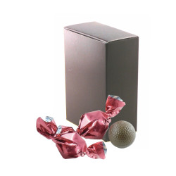 Mini Coffret Boules Chocolat Lait Praliné