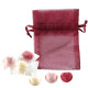 Sachet Organdi GM Bonbons Fruits Coeurs