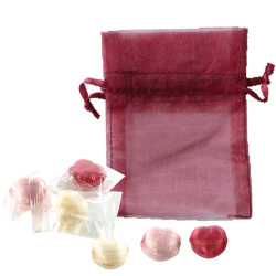 Sachet Organdi GM Bonbons Fruits Coeurs