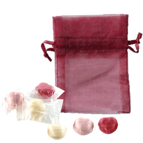 Sachet Organdi GM Bonbons Fruits Coeurs