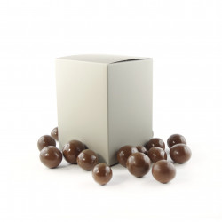 Coffret Noisettes Chocolat Lait